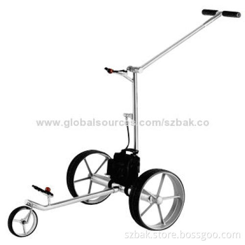 Popular LiFePO4 Battery for Golf Trolley, 12V, 22Ah, High-quality
